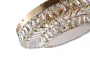 A00195 close up shot -2 white background (1).webp